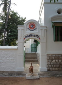 An ashram dog visits the old dispensary