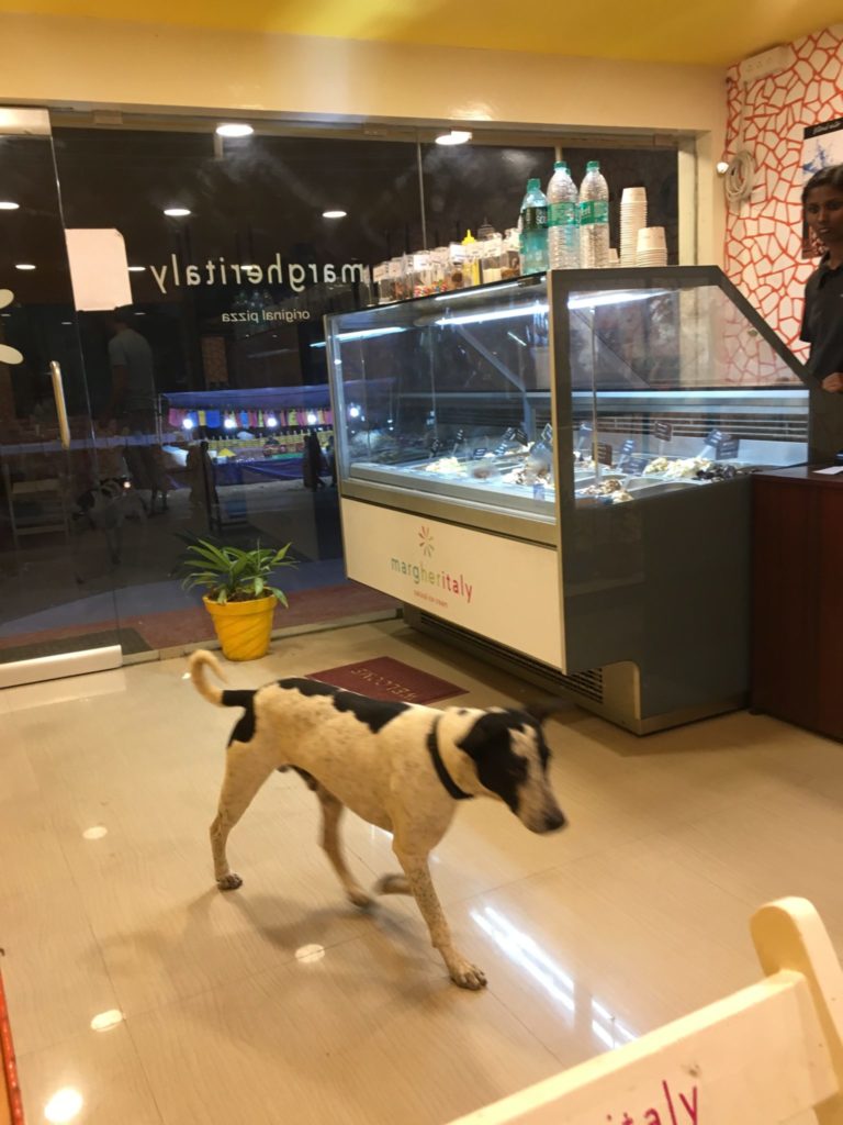 Rorschach does not want gelato.