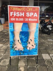 Fish spa in Bali.