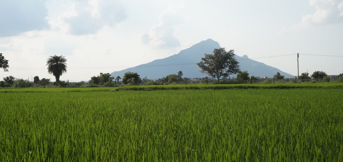 Arunachala