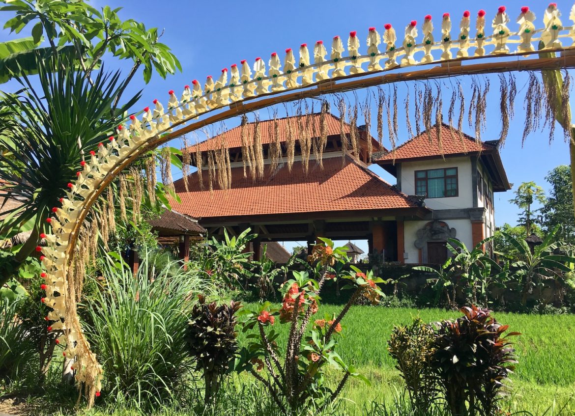 Penjor poles in Ubud, Bali Penjor poles in Ubud, Bali